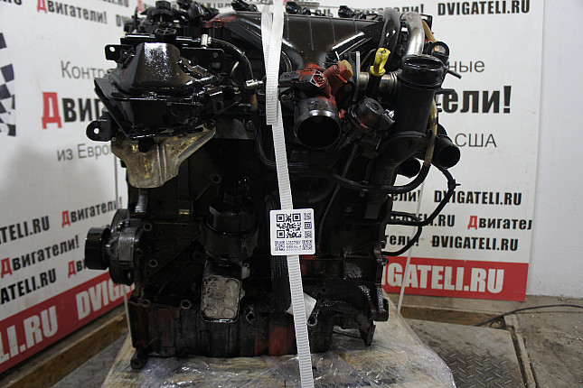 Контрактный двигатель Ford QXWA