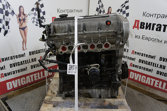 Контрактный двигатель KIA T8