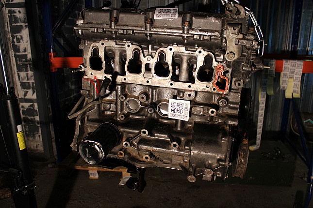 Контрактный двигатель Ford NSG