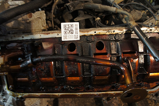 Фотография блока двигателя без поддона (коленвала) BMW M52 B25 (Vanos)